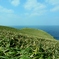 笹の岬