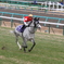 ゴールドシップ　2012　有馬記念