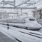 年明けの米原駅
