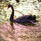 神戸花鳥園