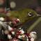 春だよね