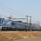 20150215ヒガハス１