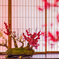 盆上の紅梅・白梅