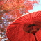 紅葉の中の一服