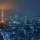 The Tokyo night view 