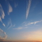 夕焼に向って