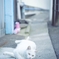 謎のポーズ