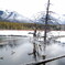 Johnson Lake
