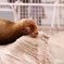 眠たいので失礼します。