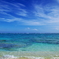 My Favorite Beach
