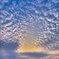 SDIM9743