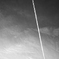 frequency 0549