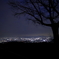 夜景-若草山-