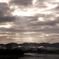 _DSC0416