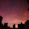 _DSC2443_800