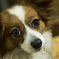 NIKON D810-20150223211007