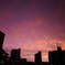_DSC2454_800