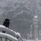 堪えて
