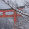 雪