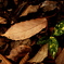 P1190507