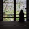 光明禅寺