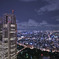夜の光は空を照らす