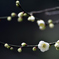 梅の花