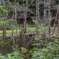 2009_0718_161324AA