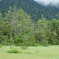 2009_0718_151018AA