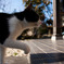 20100119-DSC01041b