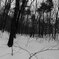 150103_遭遇_2