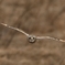 D4S_5089_00157