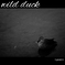 wild duck