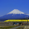 Happy Train