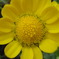 ★★★★★