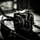 D7000