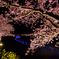銀河のほとりに咲く桜