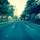 waikiki street