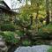 J Garden