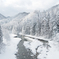 雪原