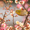 20150215-IMG_6555