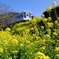 松浦鉄道　春景色