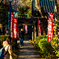 花園稲荷神社にて..