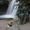 DSC01539