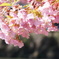 DSC01816