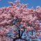 DSC01917