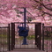 Why don't we open Spring-Gate? :)