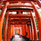 ２００９～関西旅行～