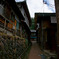 20100129-DSC01398b