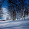 20100129-DSC01403b